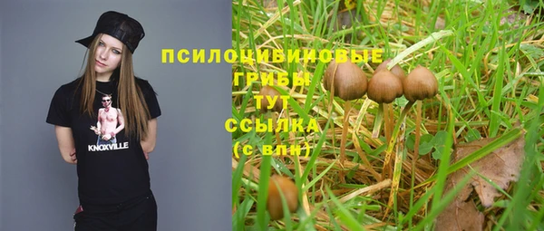 героин Алзамай