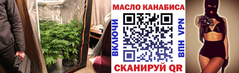 MEGA вход  как найти   Цивильск  ТГК концентрат 
