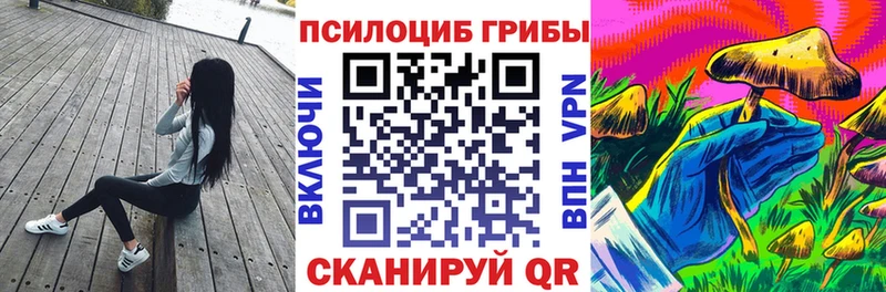 mega маркетплейс  Цивильск  Галлюциногенные грибы GOLDEN TEACHER 